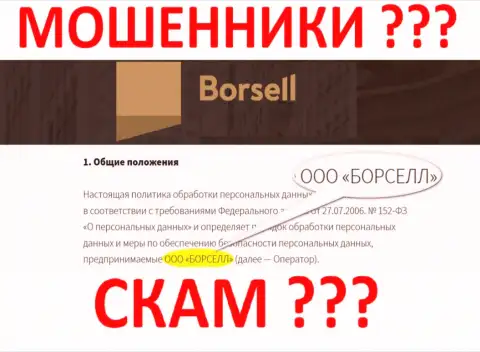 ООО БОРСЕЛЛ - это контора, которая управляет интернет мошенниками Borsell Ru