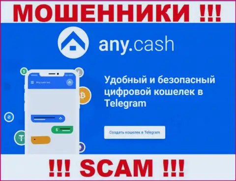 Any Cash - это internet-мошенники, их деятельность - Виртуальный кошелек, направлена на присваивание денежных активов клиентов