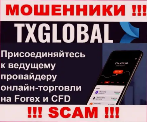 В сети internet действуют мошенники TXGlobal Com, сфера деятельности которых - Форекс