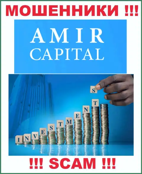 Не отправляйте денежные средства в Amir Capital, сфера деятельности которых - Инвестирование