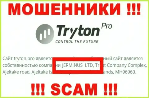Сведения о юр. лице Тритон Про - им является компания Jerminus LTD