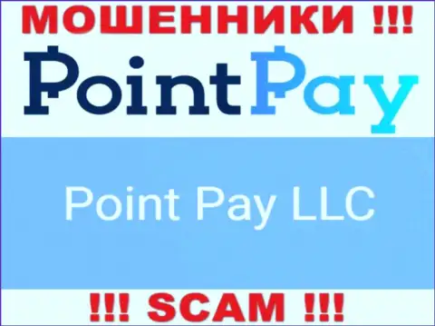 Юридическое лицо internet мошенников Point Pay - это Point Pay LLC, сведения с ресурса ворюг
