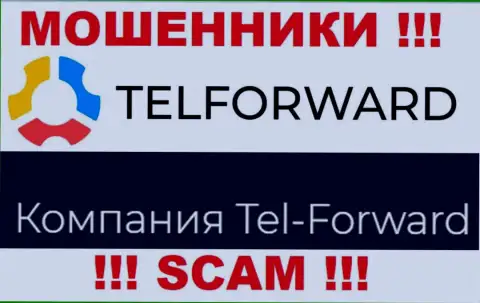 Юридическое лицо TelForward - это Tel-Forward, такую информацию разместили ворюги на своем веб-сервисе
