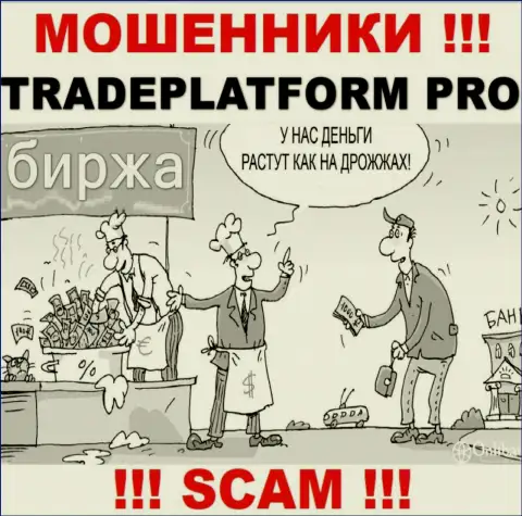 Дохода с TradePlatform Pro Вы не увидите - не спешите вводить дополнительно финансовые активы