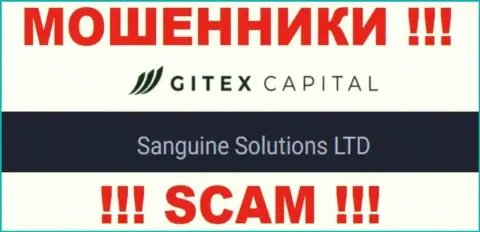 Юридическое лицо GitexCapital - Сангин Солютионс ЛТД, именно такую информацию оставили мошенники у себя на сайте
