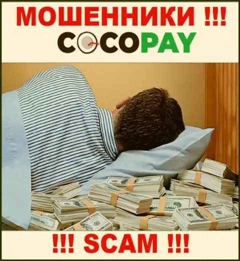Вы не сможете вернуть средства, вложенные в организацию CocoPay - это internet разводилы !!! У них нет регулятора