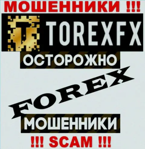 Направление деятельности TorexFX: FOREX - отличный доход для интернет мошенников